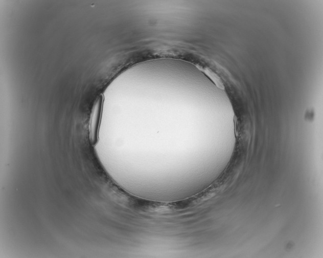 X0000090470513200708102136