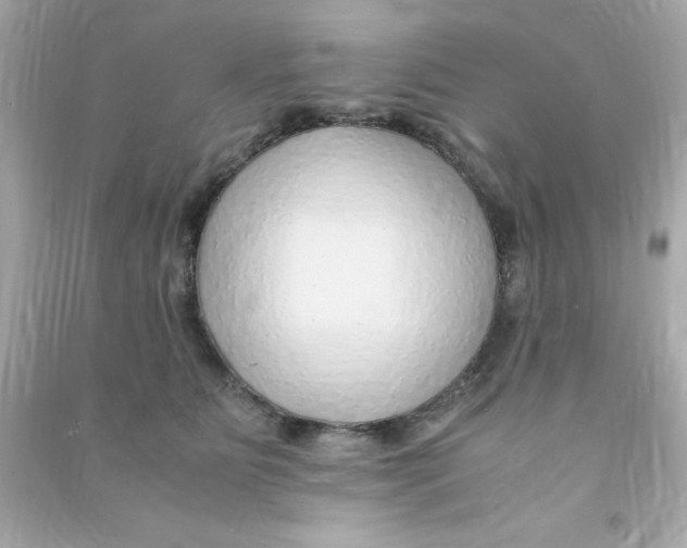 X0000090470515200708102136