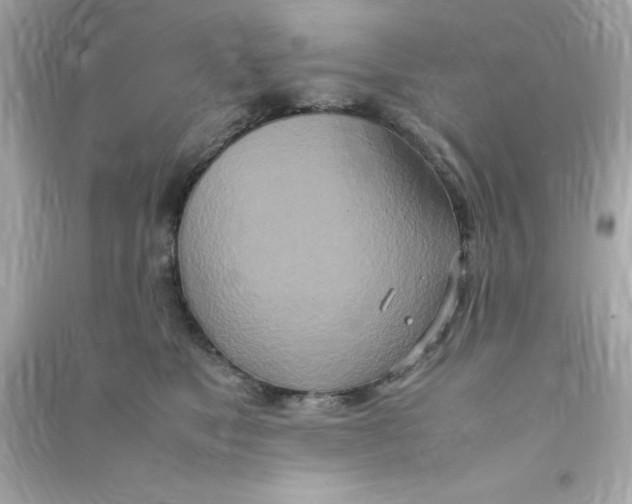 X0000090470517200708102136