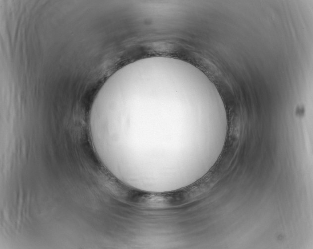 X0000090470518200708102136