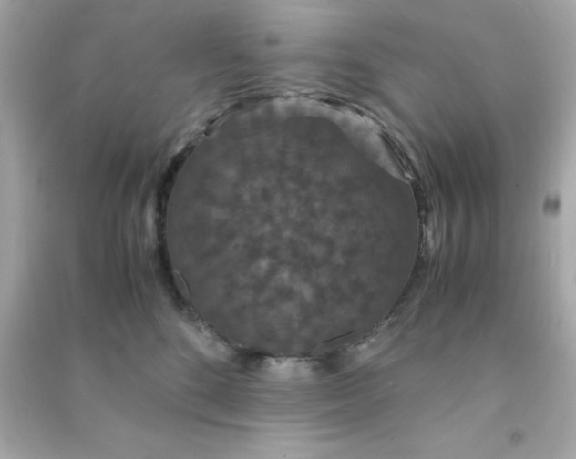 X0000090470520200708102136