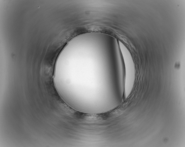 X0000090470521200708102136