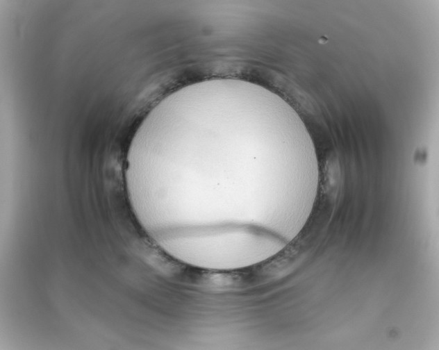 X0000090470522200708102136