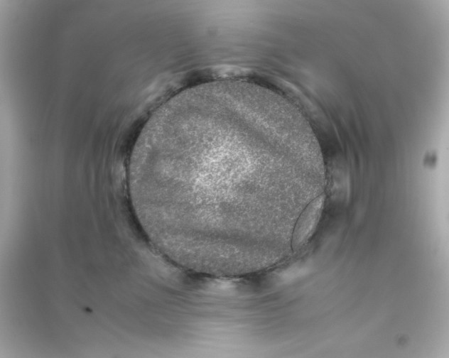 X0000090470523200708102136