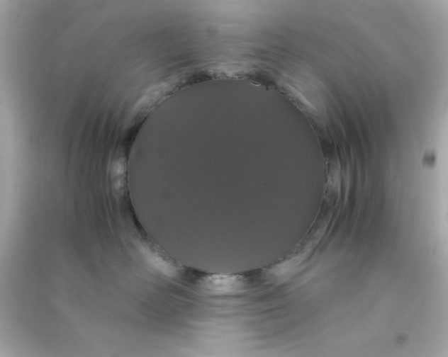 X0000090470526200708102136