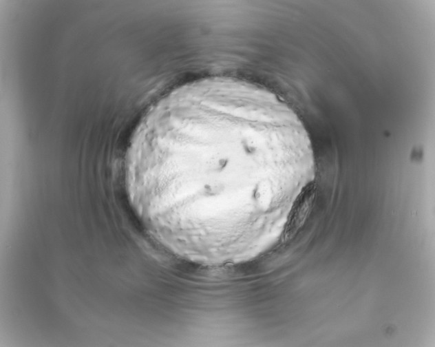 X0000090470527200708102136