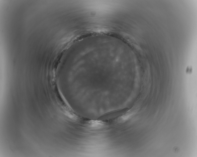 X0000090470528200708102136