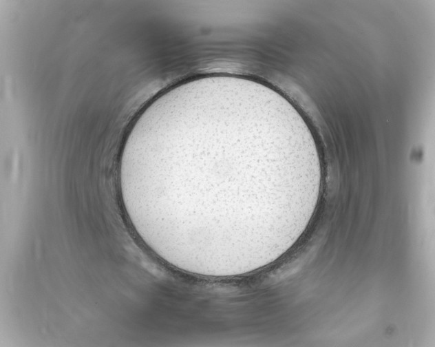 X0000090470529200708102135