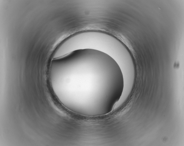 X0000090470530200708102135