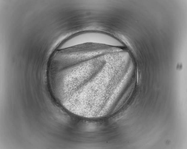 X0000090470531200708102135