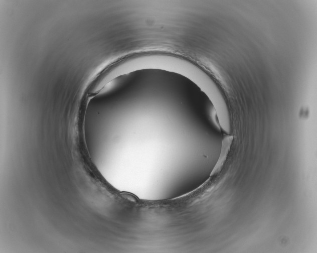 X0000090470532200708102135