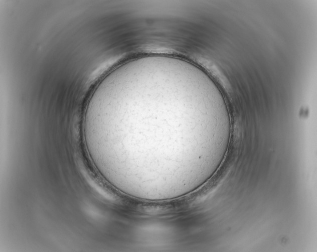 X0000090470533200708102135