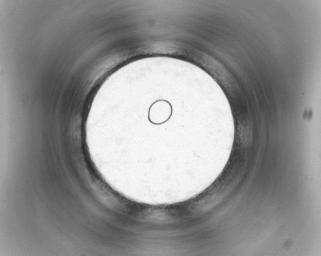 X0000090470534200708102135