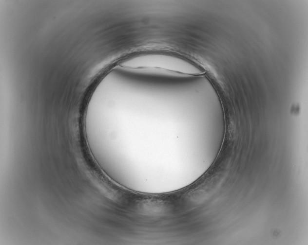 X0000090470535200708102135