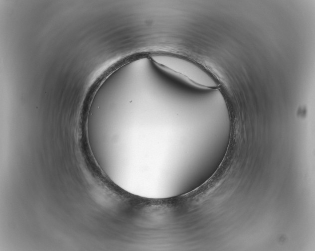 X0000090470536200708102135