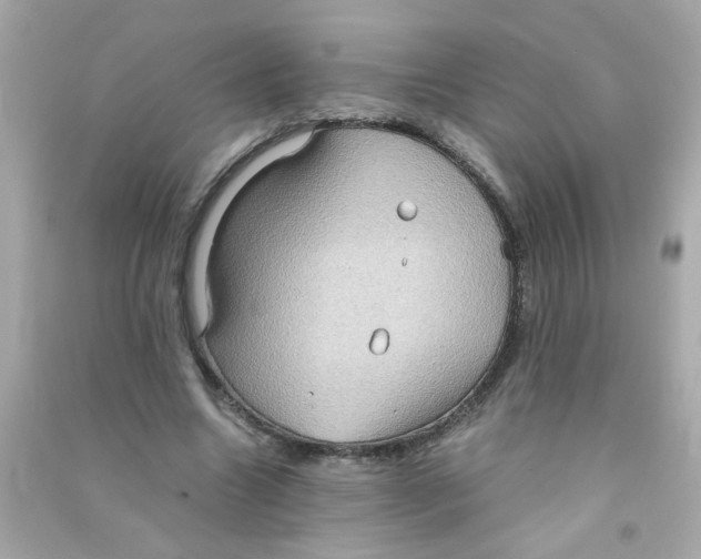 X0000090470538200708102135