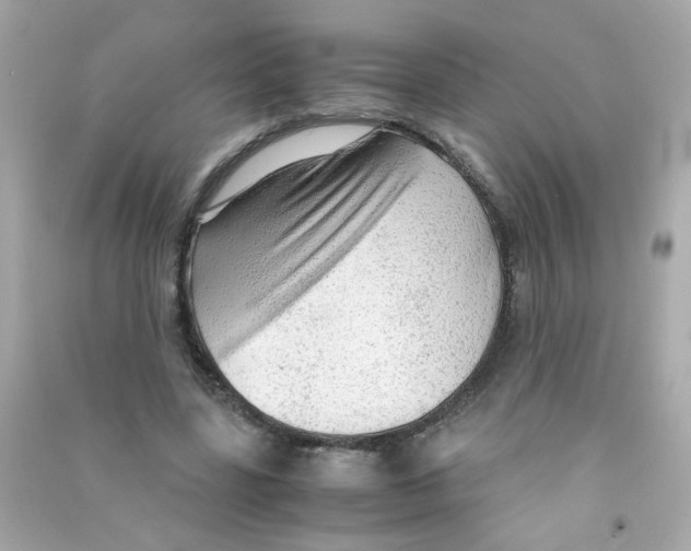 X0000090470539200708102136