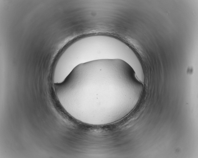 X0000090470540200708102136