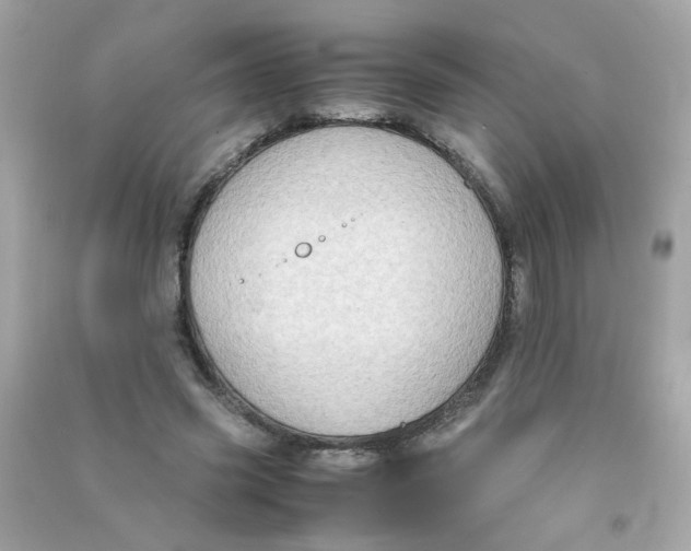 X0000090470541200708102136