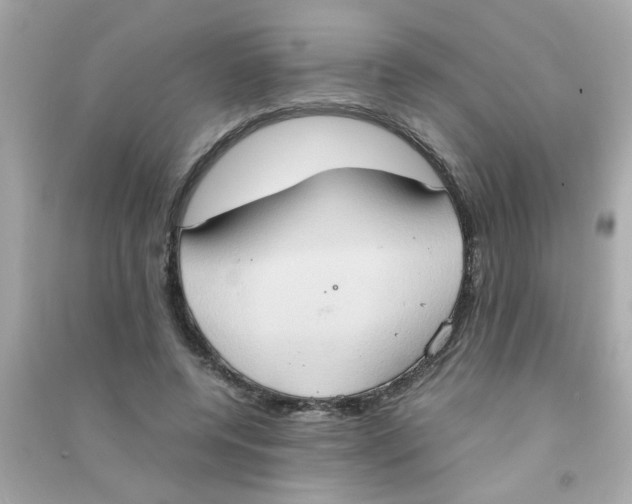 X0000090470544200708102136