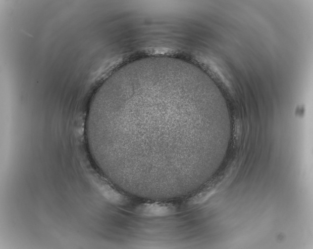 X0000090470545200708102136