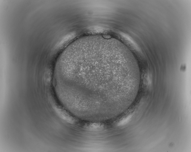 X0000090470546200708102136