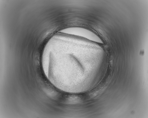 X0000090470547200708102136