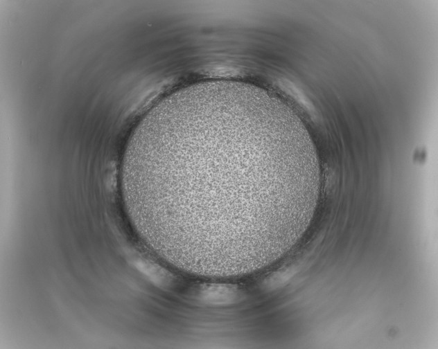 X0000090470549200708102136