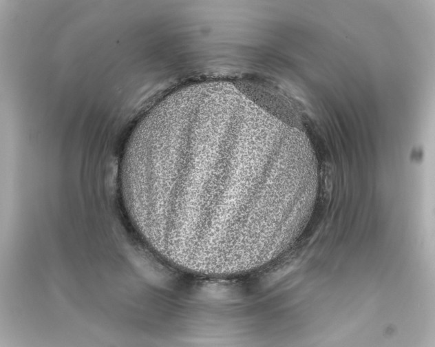 X0000090470550200708102136