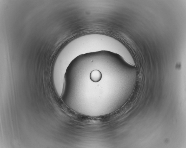 X0000090470552200708102136