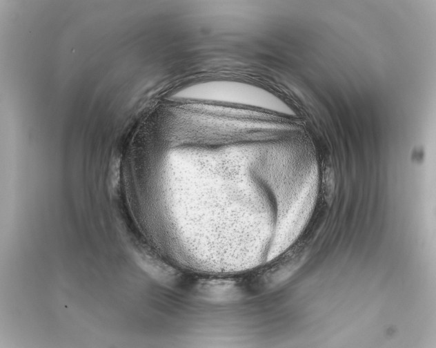 X0000090470554200708102136