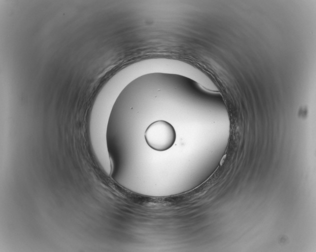 X0000090470556200708102136