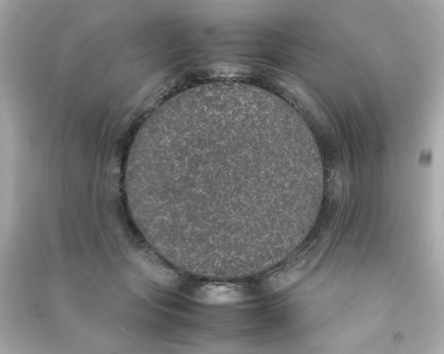 X0000090470557200708102136