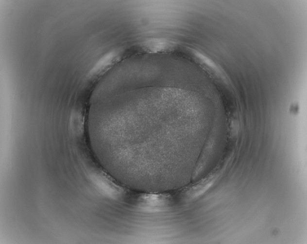 X0000090470558200708102136