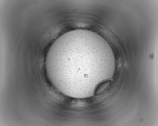 X0000090470559200708102136