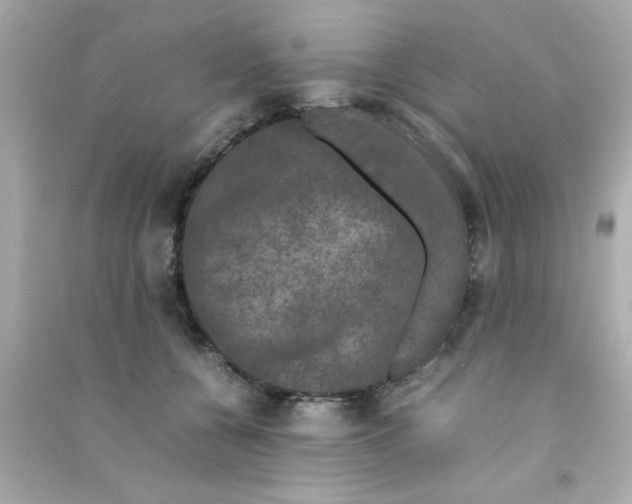 X0000090470560200708102136