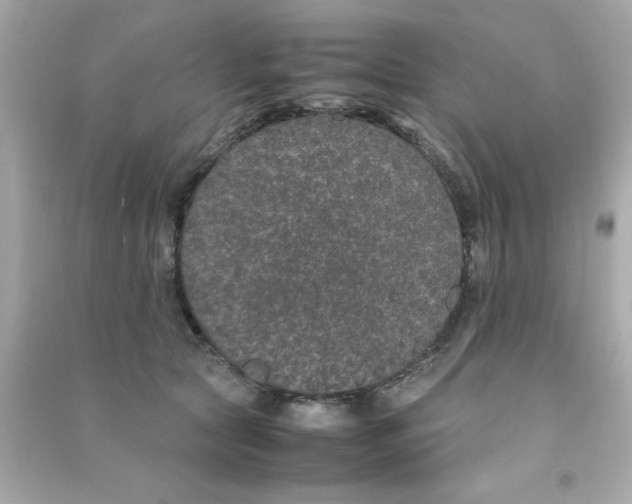 X0000090470561200708102136