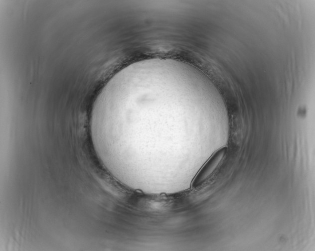 X0000090470563200708102136