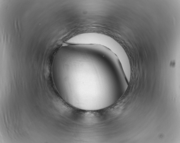 X0000090470566200708102136