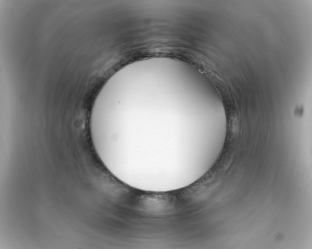 X0000090470567200708102136