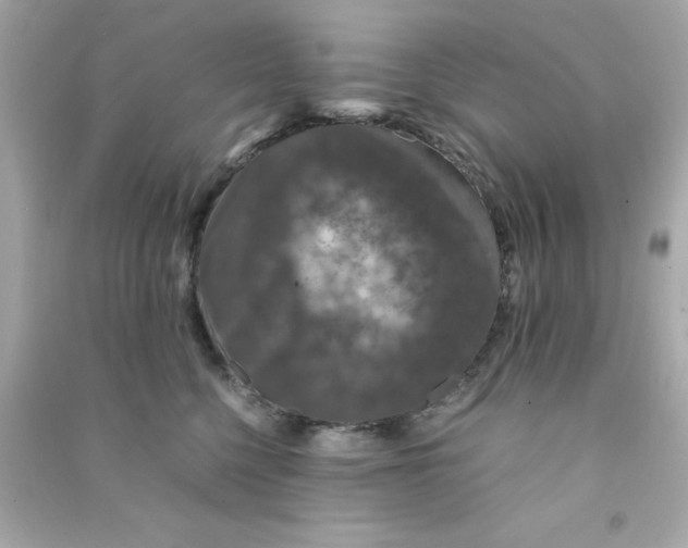 X0000090470568200708102136