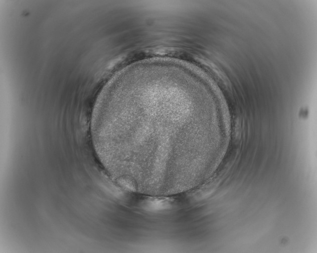 X0000090470569200708102136