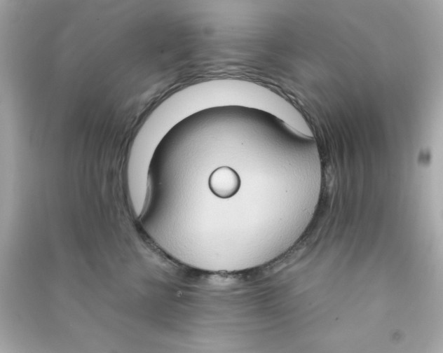 X0000090470570200708102136