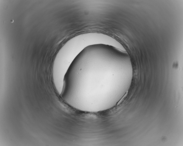 X0000090470572200708102136