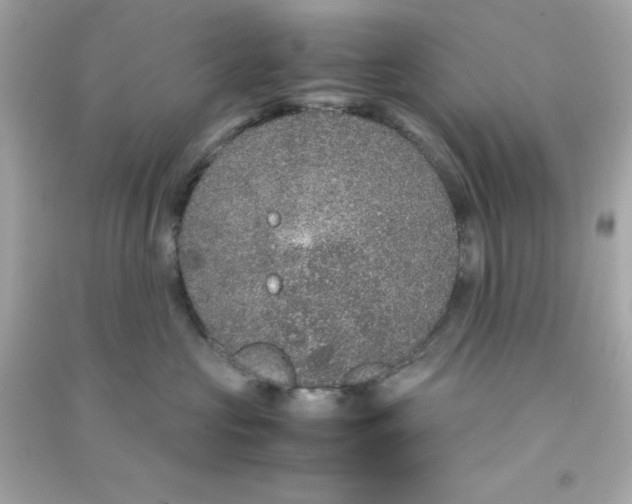 X0000090470573200708102136