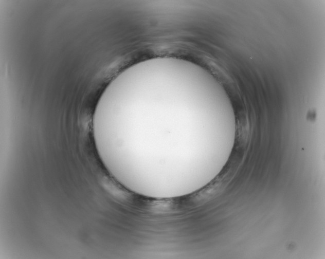 X0000090470574200708102136