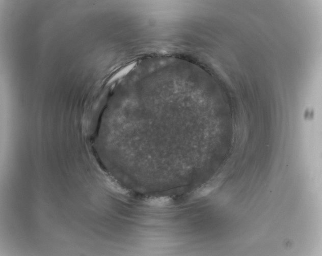 X0000090470576200708102136