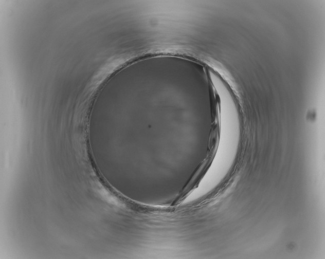 X0000090470577200708102135