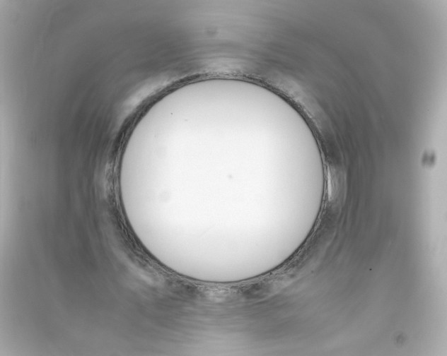 X0000090470579200708102135