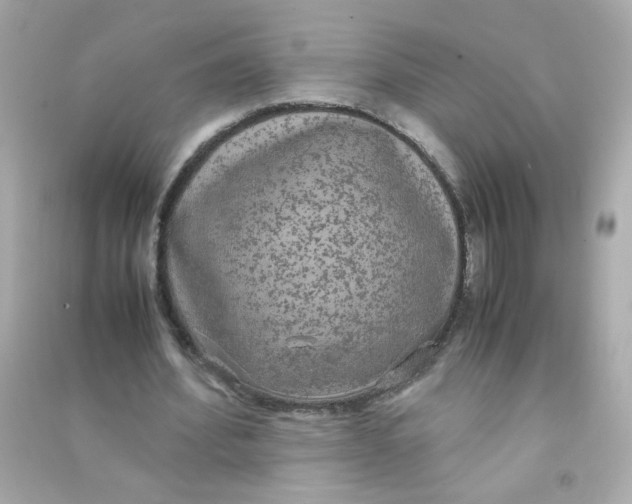 X0000090470580200708102135